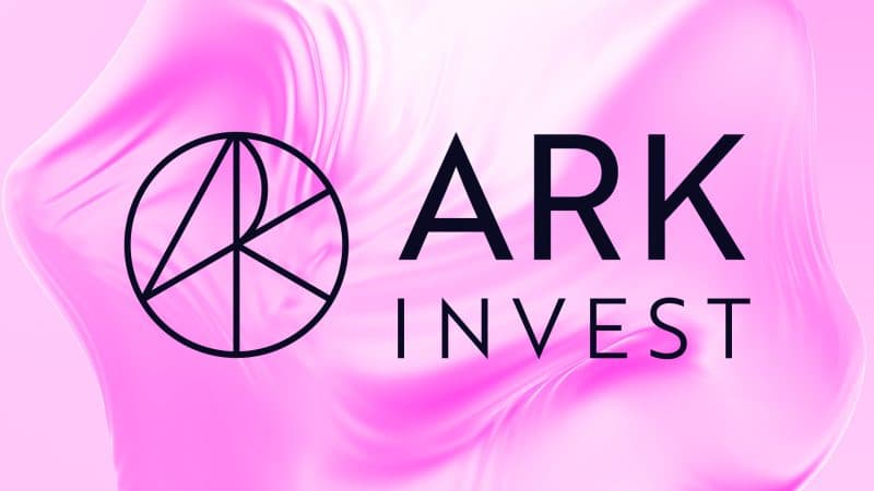 Cathie Wood’s Ark Invest scoops up more BitMine shares at discount